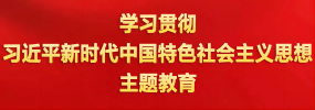 学习贯彻习近平新时代中国特色社会主义思想主题教育